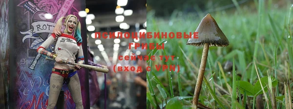 скорость Ветлуга