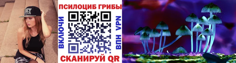 Псилоцибиновые грибы мицелий  Руза 